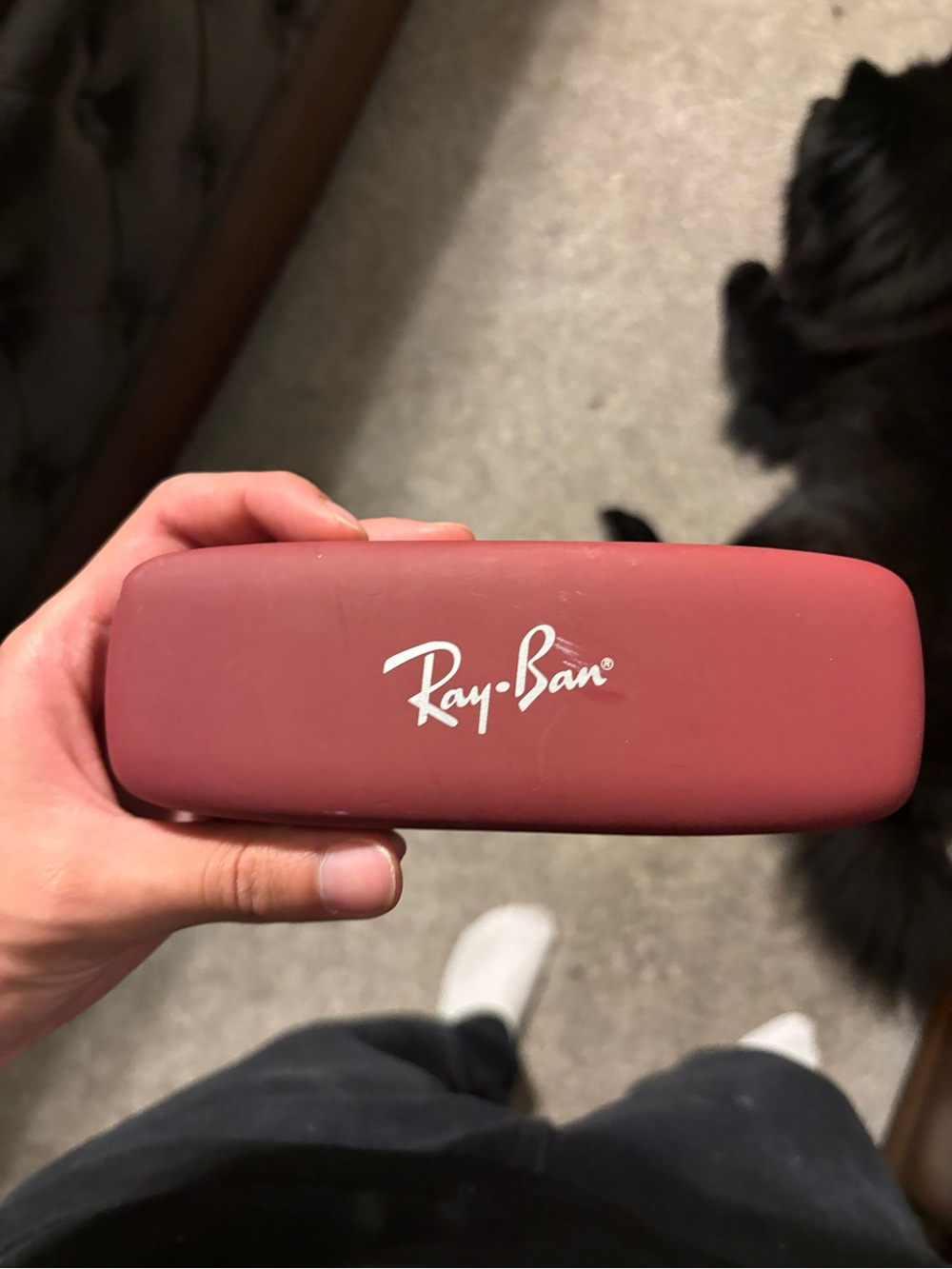 Ray-Ban Matte Maroon Hard Sunglasses Case
